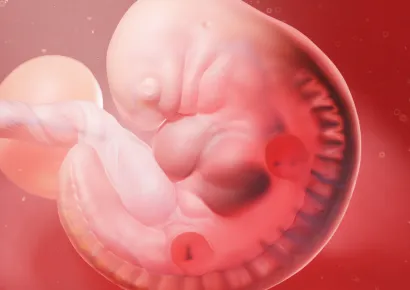 PG Diploma in Clinical Embryology - Reproductive Course