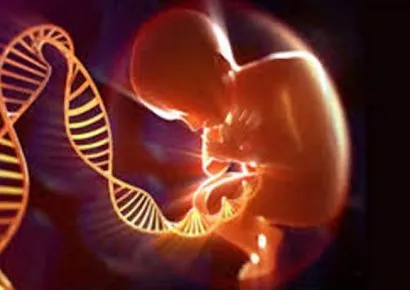 Fellowship in Fetal Medicine - Obs & Gynae Course